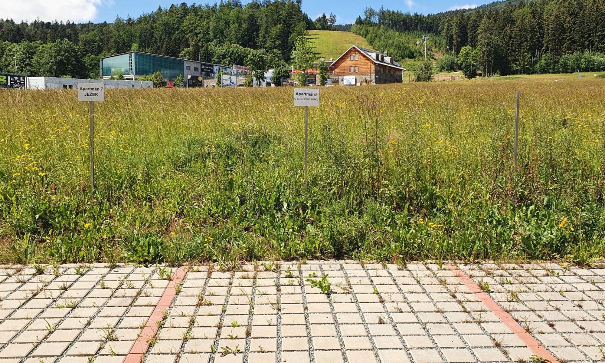 Apartman U Sucheho Buku - Bukova Hora Червена-Вода Экстерьер фото
